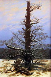 Oak Tree in the Snow